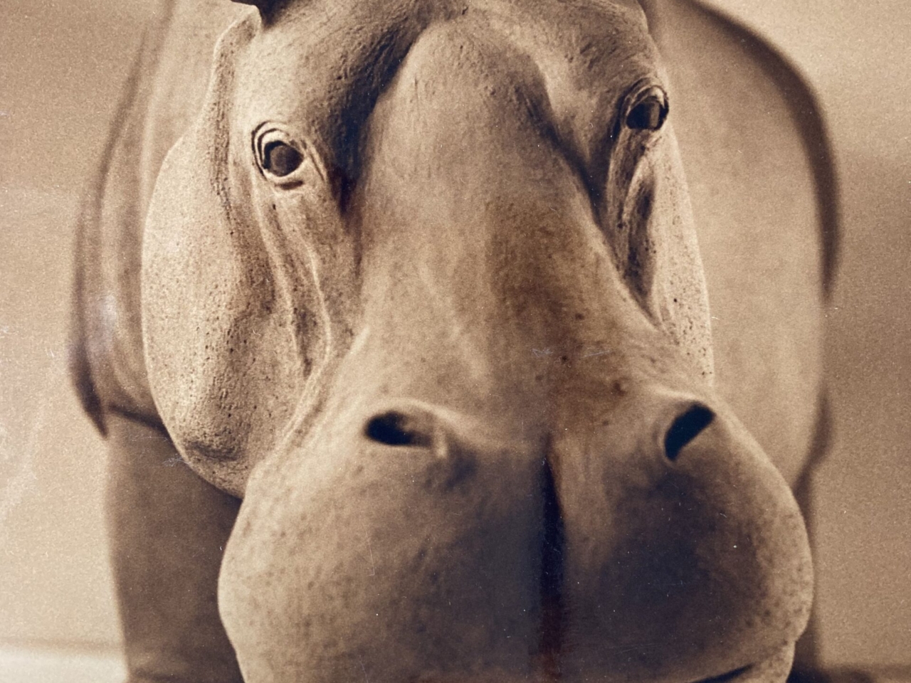 Nilpferd, 60×40 cm, Keramik, 2002