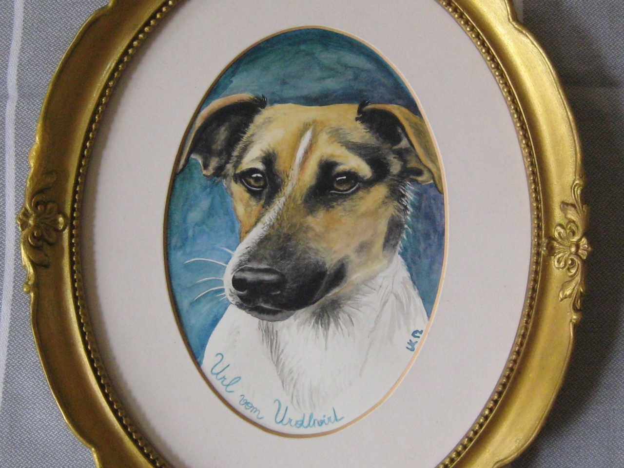 Hundeportrait "Uri", Aquarell